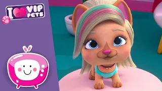 🎶 PETS DANCE WORLD 🎶 VIP PETS 🌈 Nuevo Episodio 💕 Vídeos para niños en ESPAÑOL