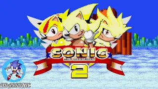 Super Hedgehogs in Sonic The Hedgehog 2 • Sonic Hack