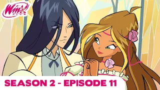 Winx Club - Season 2 Episode 11 - Race Against Time - [FULL EPISODE]