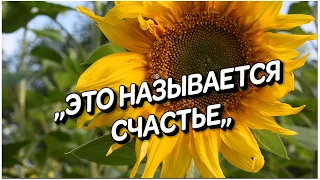 СБОРНИК МУЗЫКИ ДЛЯ ДУШИ ,,ЭТО НАЗЫВАЕТСЯ СЧАСТЬЕ,,Музыка Сергей Грищук