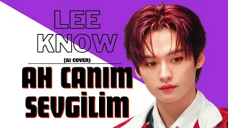 Lee Know - Ah Canım Sevgilim (AI Cover)