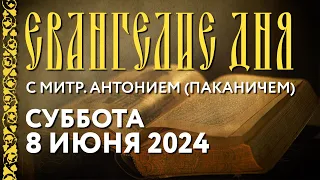 Толкование Евангелия с митрополитом Антонием (Паканичем). Суббота, 8 июня 2024 года.