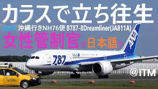 「カラスで立ち往生～女性管制官日本語で～」ANA NH767便(沖縄行き) Boeing 787-8 Dreamliner（JA811A）2017年9月25日午後2時 ＠ITM