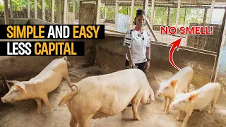 How To START A SUCCESSFUL Pig Farm As a BEGINNER in 2023 with Less CAPITAL  - DETAILED STEPS