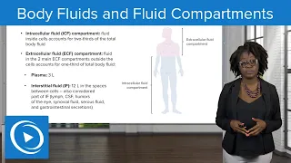 Body Fluids and Fluid Compartments – Physiology | Lecturio Nursing