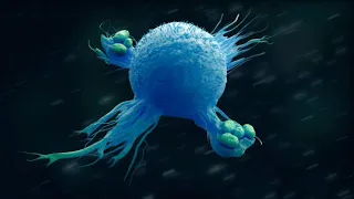 Macrophages: The Destroyers