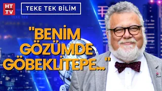 Göbeklitepe'nin sırrı ne? Prof. Dr. Celal Şengör yanıtladı