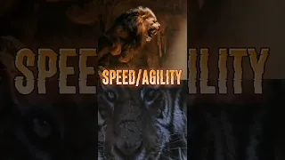 NEMEAN LION VS TIGER KING