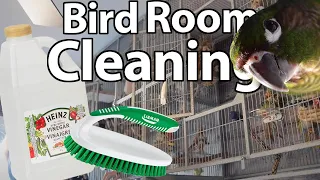 Cleaning The Bird Room!! | Topics