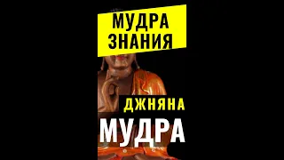 Джняна Мудра 👌 От тревоги, бессонницы | Улучшает Память, Здоровье #shorts #short