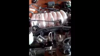 Hilux V8 SFA Start Up