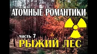Atomic Romantics 2019 Part 7 THE MOST RADIOACTIVE FOREST IN THE WORLD - RED FOREST