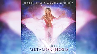 HALIENE & MARKUS SCHULZ - BUTTERFLY X METAMORPHOSIS | (FOTW 🏆 437)