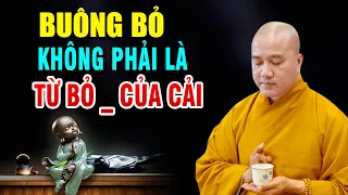 Thầy Pháp Hòa chia sẻ cách BUÔNG BỎ ai cũng nên nghe 1 lần "rất hay thấm quá"