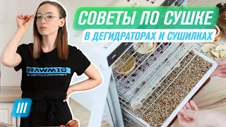 Как сушить овощи, фрукты и зелень в дегидратора RAWMID  | Советы и лайфхаки | Гайд