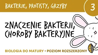 Bakterie, protisty, grzyby 3 - Znaczenie bakterii, choroby bakteryjne (maturalne)