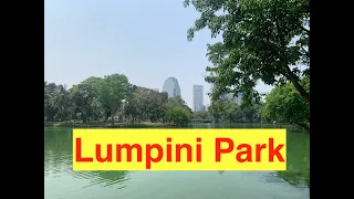 Lumpini Park Bangkok   HD 1080p