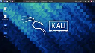 Как подключить анонимный VPN + TOR и rdp внутри vpn + tor на Kali Linux через openvpn и remmina