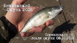Бишкекский окунь 2016. Соревнования по ловле окуня 08.10.2016