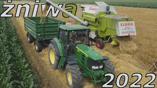 Żniwa Jęczmienia ozimego 2022 Claas dominator 88