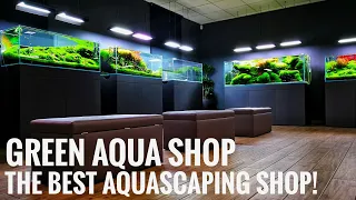 THE BEST SHOP I have visited so far! Green Aqua Shop in Budapest, Hungary