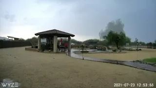 Lightning strikes down tree north of the Valley