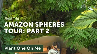 Amazon Spheres Tour: Part 2 — Ep 152