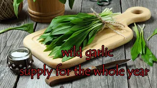 wild garlic - supply for the whole year