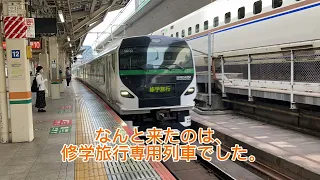 修学旅行専用列車を撮影してみた　in 東京駅