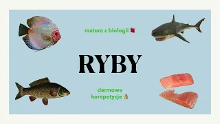 #29 Ryby - budowa, charakterystyka 🐟 matura z biologii 📕 liceum ✅