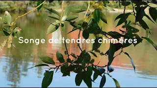 Songe de tendres chimères - André Éthève (English, Ελληνικοί, Български, portugues, italiano...)
