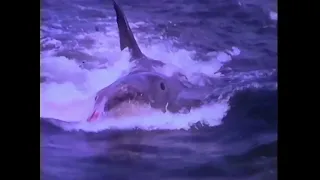 Jaws Re-Release TV Spot #6 (1979)