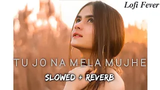 Asim Azhar - Jo Tu Na Mila (Slowed Reverb LofiRemake) | 𝑳𝒐𝒇𝒊 𝑭𝒆𝒗𝒆𝒓 |