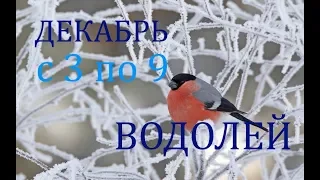 ВОДОЛЕЙ. ТАРО-ПРОГНОЗ на НЕДЕЛЮ с 3 по 9 декабря 2018г.