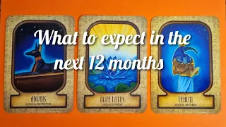 ✨️ What to expect in the next 12 months ✨️ pick a card tarot 💖 timeless ✨️