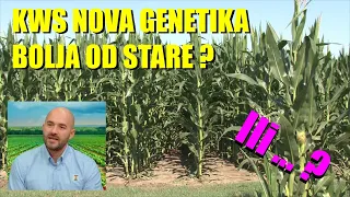 Da li je NOVA KWS genetika baš toliko bolja nego stara ?!  KAKO TO IZGLEDA - koji to hibridi ...?