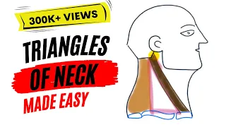 Triangles of neck made easy!