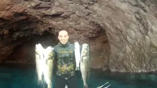 Spearfishing in LESVOS#ΜΕΓΑΛΑ ΛΑΒΡΑΚΙΑ... #( Big Seabass)