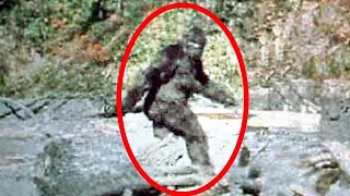 Bigfoot: The Last Giant Undiscovered Animal? - #Documentary