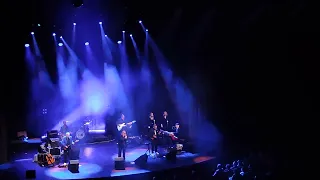 Novi Fosili - Plava košulja (Live in Belgrade)