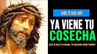 DIOS TE DICE HOY: ESTA SEMANA ¡LLEGARÁ TU COSECHA! Deja atrás el pasado y sigue hacia adelante