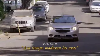 Como dice el dicho "a su tiempo maduran las uvas"