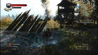 The Witcher 3 My Greatest Nemesis