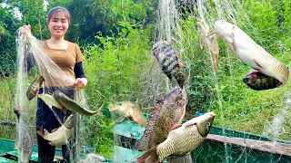 Catching fish on a big lake, How the girl cast a net and caught giant fish