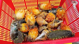 Assorted Seafood Sashimi Songdo Fish Market Pohang Korea 포항 송도 활어회센터 해물모듬회 sea squirt abalone 180322