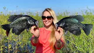 How to Catch HUGE Spawning Crappie & Worlds CRAPPIEST Tacos!!