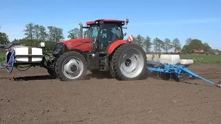 Mais zaaien met Case IH Maxxum 125 CVX en 8 rij Monosem -  Loonbedrijf Zandman Beerze (2020)