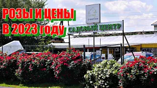 РОЗЫ И ЦЕНЫ В 2023 году.