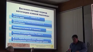 Каждому сорту озимой пшеницы требуется свое питание