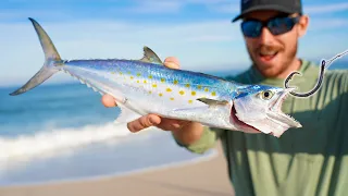 Big BAITS and HUGE Mistakes (Beach Surf Fishing)